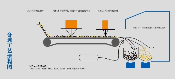最新XRT+彩色CCD双技术融合智能分选机研发成功。