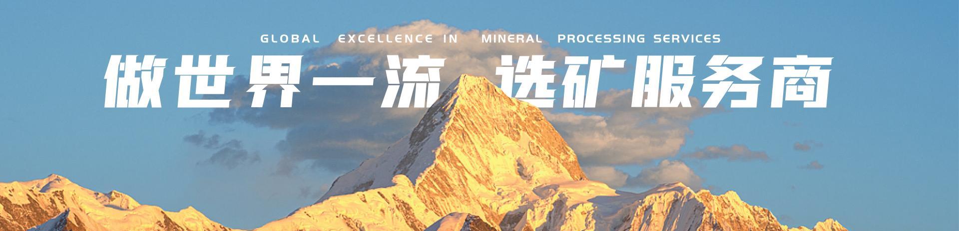 公司简介